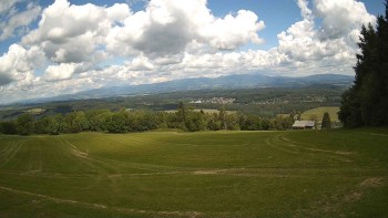 Zvičina