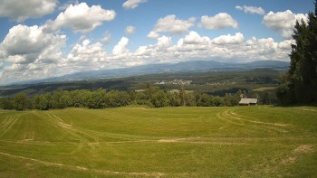 Zvičina