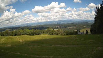 Zvičina