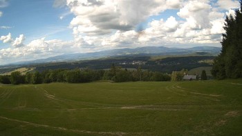 Zvičina