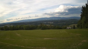 Zvičina