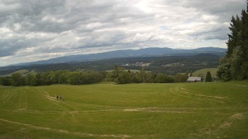Zvičina