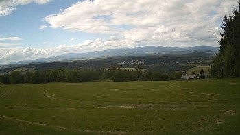 Zvičina