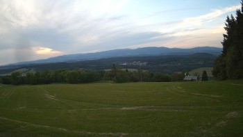 Zvičina