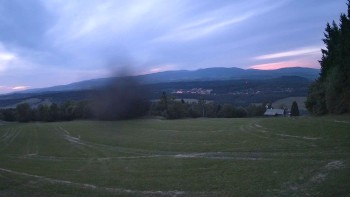 Zvičina