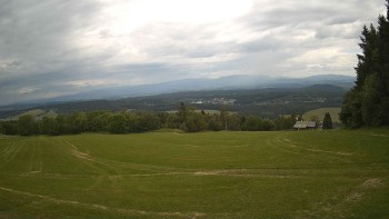 Zvičina