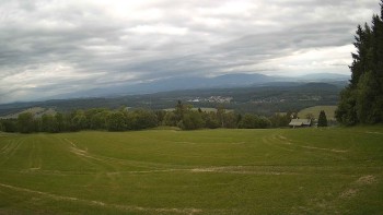 Zvičina