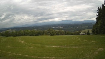 Zvičina