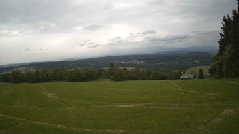 Zvičina