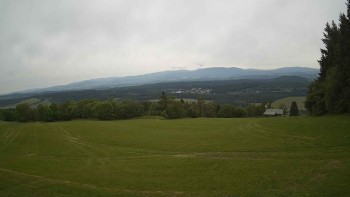 Zvičina