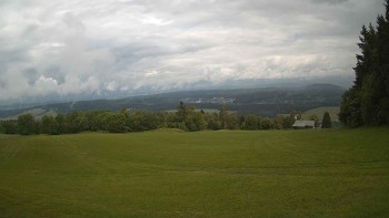 Zvičina