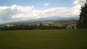 Zvičina