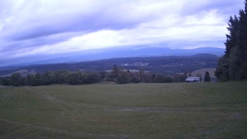 Zvičina