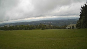Zvičina