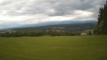 Zvičina