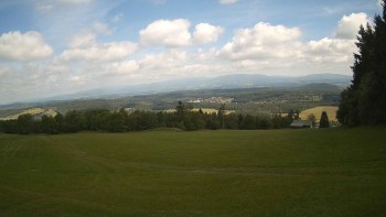 Zvičina