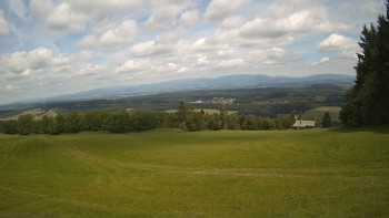 Zvičina