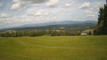 Zvičina
