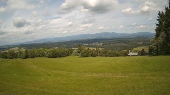 Zvičina