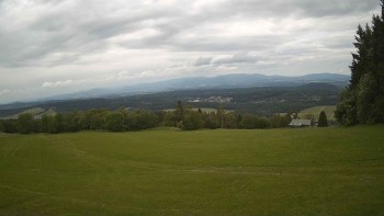 Zvičina