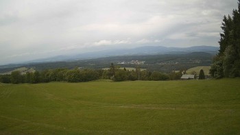 Zvičina