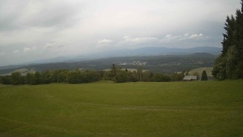Zvičina