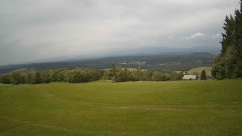 Zvičina