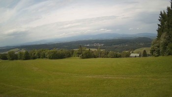 Zvičina