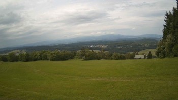 Zvičina
