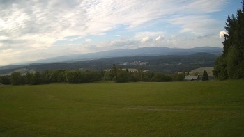 Zvičina