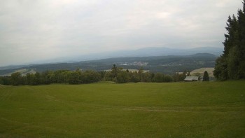 Zvičina
