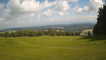 Zvičina