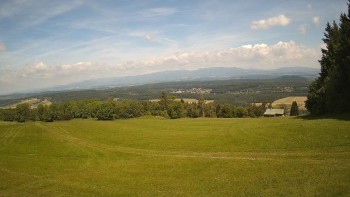 Zvičina