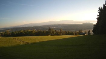 Zvičina
