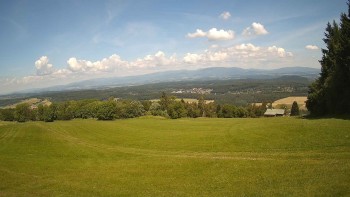 Zvičina