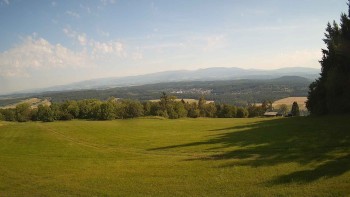 Zvičina