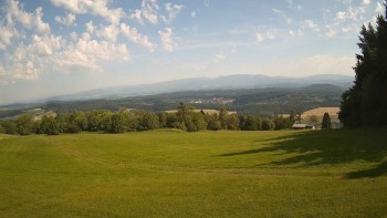 Zvičina