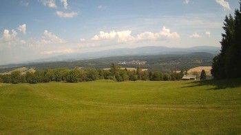 Zvičina