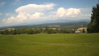 Zvičina