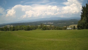 Zvičina
