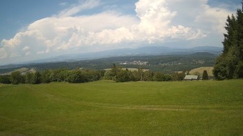 Zvičina