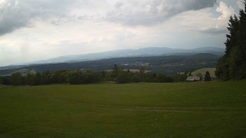 Zvičina