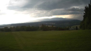 Zvičina