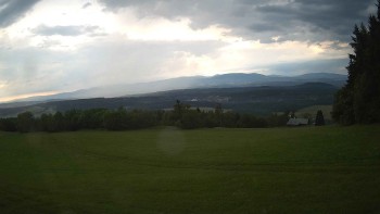 Zvičina