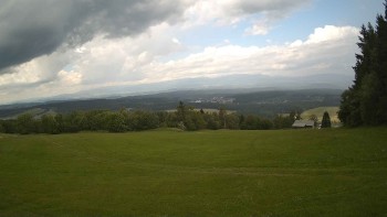 Zvičina