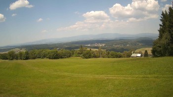 Zvičina