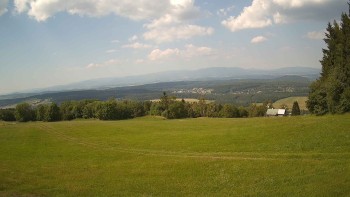 Zvičina