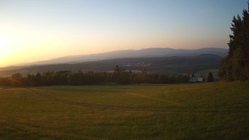 Zvičina