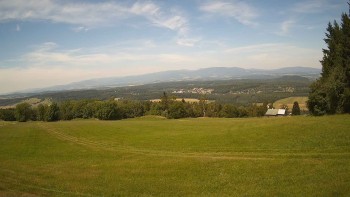 Zvičina