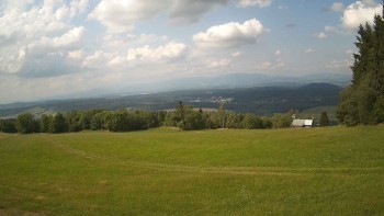 Zvičina